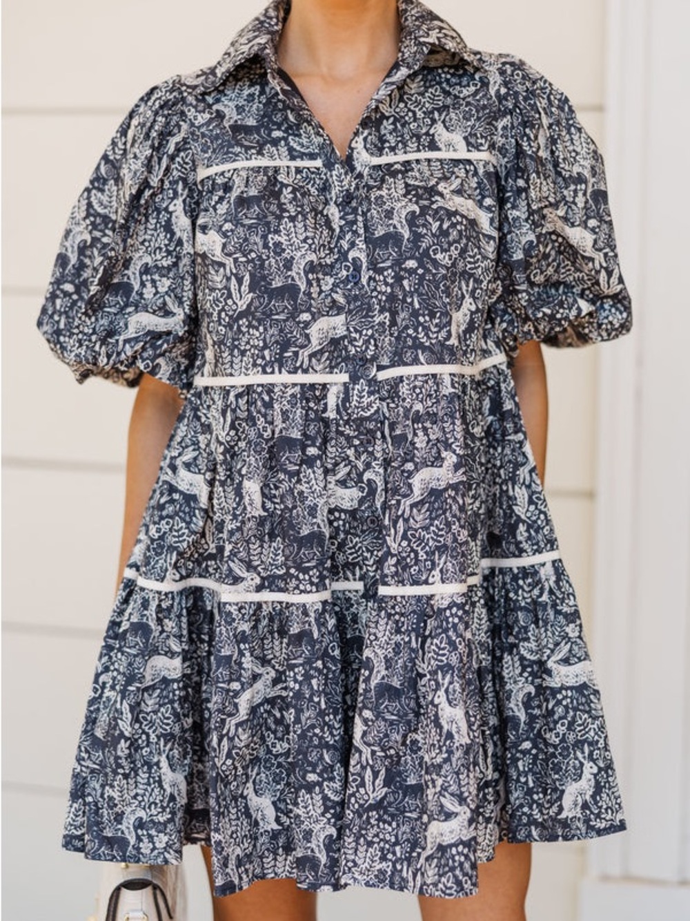 Rabbit Toile Print Dress